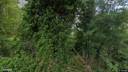 Street view of 4 Somerton Park