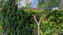 Street view of 21 Coundon Court