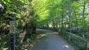 Street view of 12 Woodbrook
