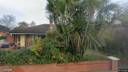 Street view of 1 Norwood
