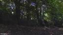 Street view of Apt 7 Killiney Hill Park