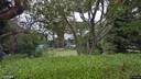 Street view of 20 Rosmeen Park