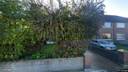 Street view of 49 Windsor Park
