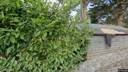 Street view of 5 Laragh