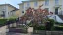 Street view of 40 Avoca Avenue
