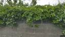 Street view of 53 Slieve Rua Drive